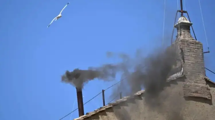 Tym i bardhë në Vatikan! Zgjidhet pasardhësi i Papa Françeskut