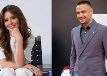 Bear nuk do të trashëgojë menjëherë pasurinë e Liam Payne – Përse vallë?