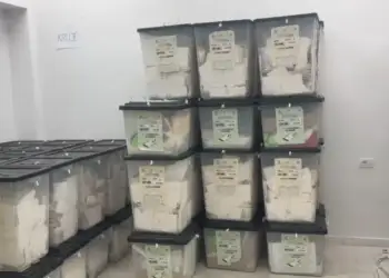 Numërohen 26.52% e kutive të votimit në vend/ Këto janë rezultatet