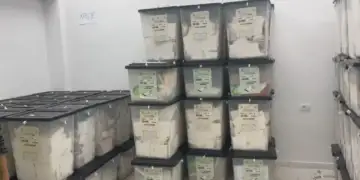 Numërohen 26.52% e kutive të votimit në vend/ Këto janë rezultatet