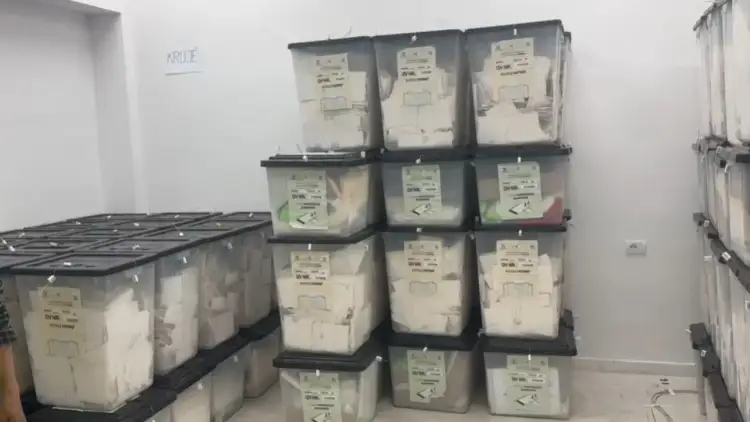 Numërohen 26.52% e kutive të votimit në vend/ Këto janë rezultatet