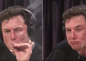 Elon Musk mori drogë gjatë fushatës së Trump? Hetim tronditës nga New York Times