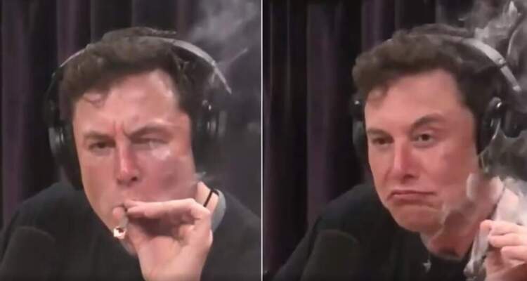 Elon Musk mori drogë gjatë fushatës së Trump? Hetim tronditës nga New York Times