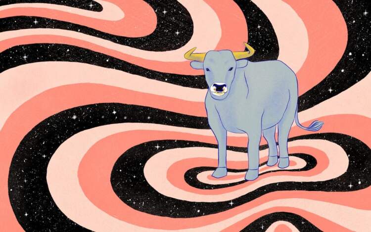 Cila kafshë të ngjan më shumë, sipas shenjës së horoskopit?