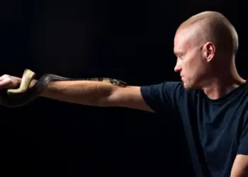 Gjaku i njeriut të pickuar nga gjarpri krijon kundërhelmin revolucionar