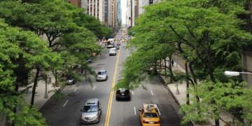 Si pemët e larta mund ta transformojnë jetën në qytet?