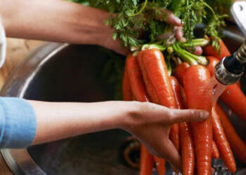 Sot është Dita Botërore e Sigurisë Ushqimore! A dimë vërtet çfarë hamë?