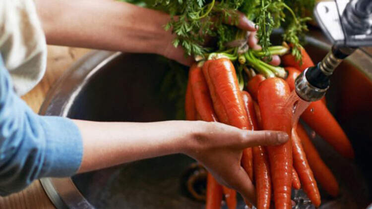 Sot është Dita Botërore e Sigurisë Ushqimore! A dimë vërtet çfarë hamë?