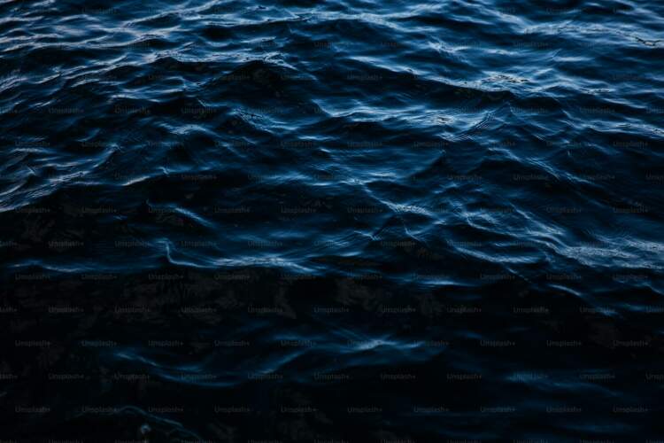 Errësira po pushton oqeanet dhe pasojat mund të jenë katastrofike