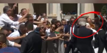 Papa Leo XIV goditet nga një lodër pelushi gjatë takimit në ‘San Damas’