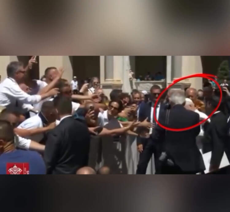 Papa Leo XIV goditet nga një lodër pelushi gjatë takimit në ‘San Damas’