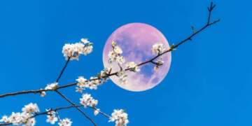 Hëna e plotë e qershorit: Kur do ta shohim “Hënën e Luleshtrydhes” në qiell?