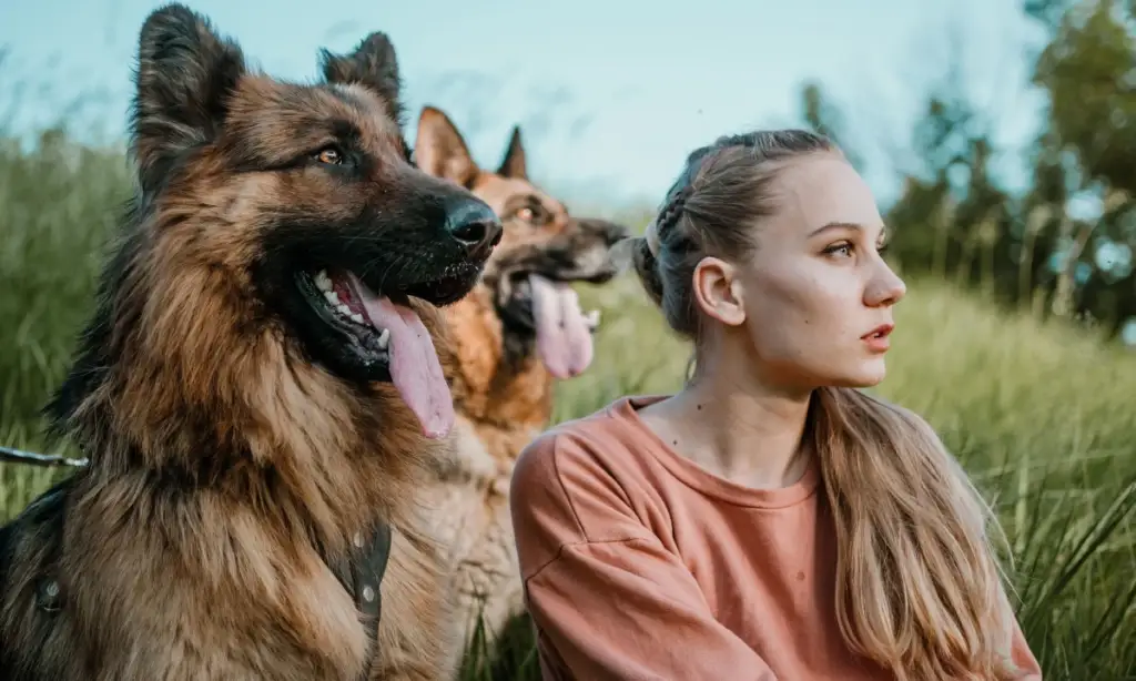 Cilat shenja të zodiakut duan të kalojnë më shumë kohë me kafshët e tyre shtëpiake sesa me njerëzit?