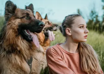 Cilat shenja të zodiakut duan të kalojnë më shumë kohë me kafshët e tyre shtëpiake sesa me njerëzit?