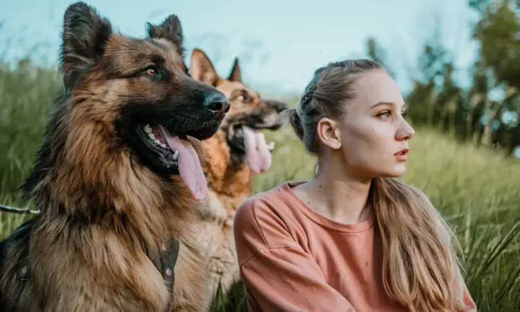 Cilat shenja të zodiakut duan të kalojnë më shumë kohë me kafshët e tyre shtëpiake sesa me njerëzit?