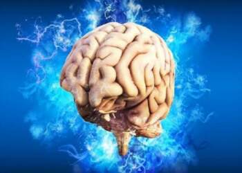 Truri të tradhton kur s’e pret: Pse harrojmë gjërat më të thjeshta?