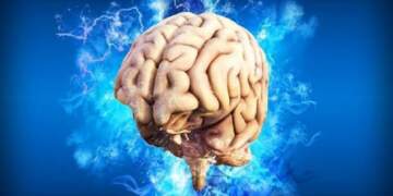 Truri të tradhton kur s’e pret: Pse harrojmë gjërat më të thjeshta?