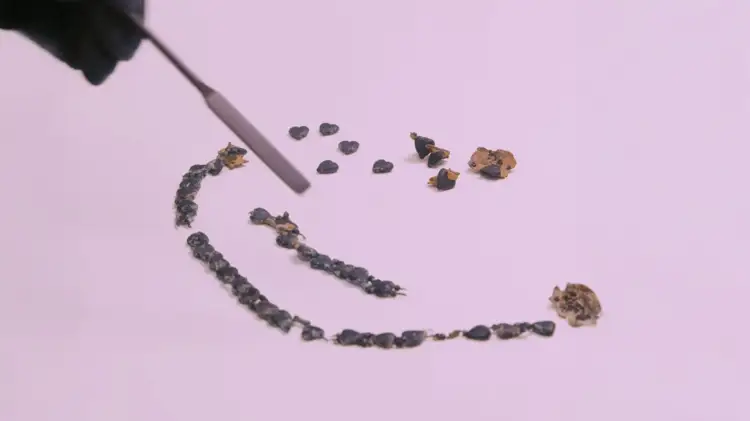 U gjet në copa në vitin 2000! “Odisea” e gjerdanit prej qelqi të rikuperuar nga Titaniku