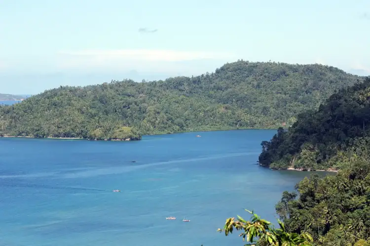 Tragjedi në Indonezi: Trageti përfshihet nga flakët, një i vdekur dhe dhjetëra të evakuuar