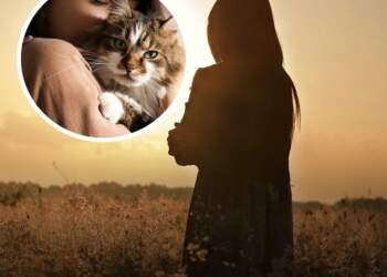 Një në dy gra mund të jetë beqare dhe pa fëmijë deri në vitin 2030