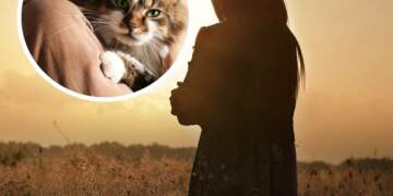 Një në dy gra mund të jetë beqare dhe pa fëmijë deri në vitin 2030