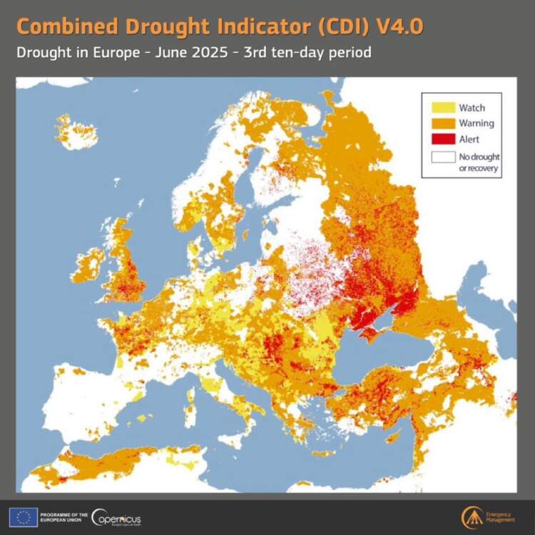 Gjysma e tokës në Evropë e prekur nga thatësira, vendet më të goditura