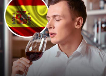 Spanja po kërkon 10,000 vullnetarë që të pijnë verë çdo ditë për 4 vite!