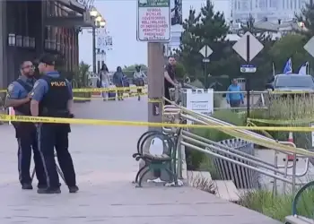 Zbulohet dinamika e vrasjes së Chrystofer Whyte: Një i mitur përballet me akuza për vrasje