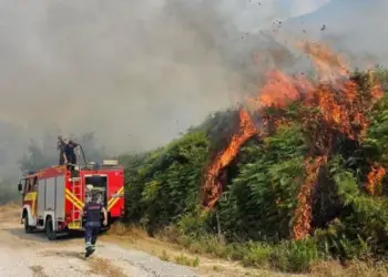 Zjarret pushtojnë vendin! 6 vatra ende aktive, mbi 65 hektarë bimësi e djegur