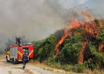 Situata e zjarreve në vend, 37 vatra në 24 orët e fundit, 4 ende aktive dhe 2 të tjera nën monitorim
