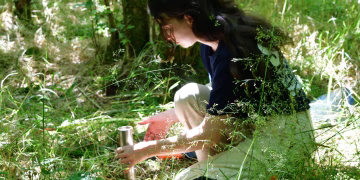 Kërpudha magjike: si zbuluan shkencëtarët se kërpudhat janë përbërësi sekret për restaurimin e pyjeve të botës