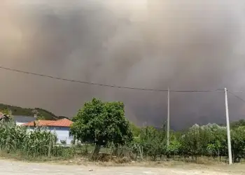 Gramsh, situata drejt normalizimit pas tre ditësh me flakë, vijon groposja e bagëtive të djegura