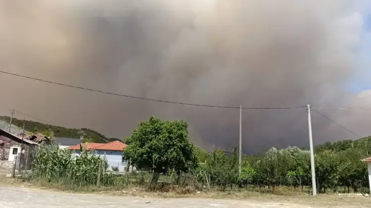 Gramsh, situata drejt normalizimit pas tre ditësh me flakë, vijon groposja e bagëtive të djegura