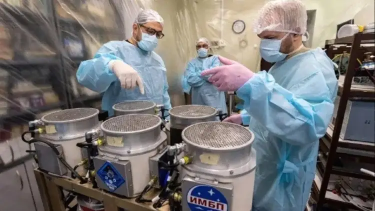 Pse Rusia do të dërgojë 75 minj dhe 1,000 miza në hapësirë më 20 gusht?