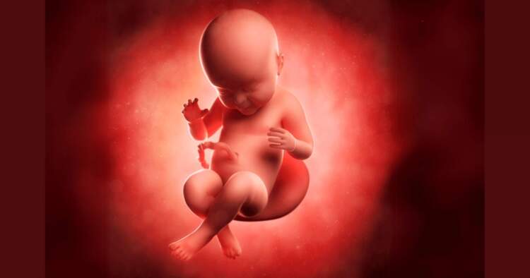 Foshnja më “e vjetër” lind nga një embrion i ngrirë në vitin 1994