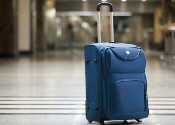 Tronditje në Zelandën e Re: Gruaja udhëton me vajzën dyvjeçare në valixhe