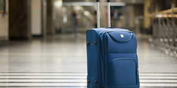 Tronditje në Zelandën e Re: Gruaja udhëton me vajzën dyvjeçare në valixhe