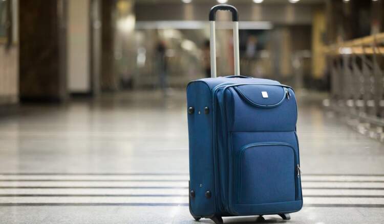 Tronditje në Zelandën e Re: Gruaja udhëton me vajzën dyvjeçare në valixhe