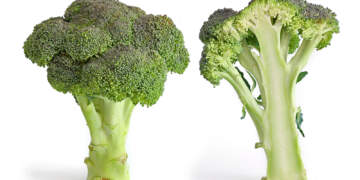 Alarm në Itali! Një viktimë dhe disa të shtruar në spital pas konsumimit të brokolit të konservuar