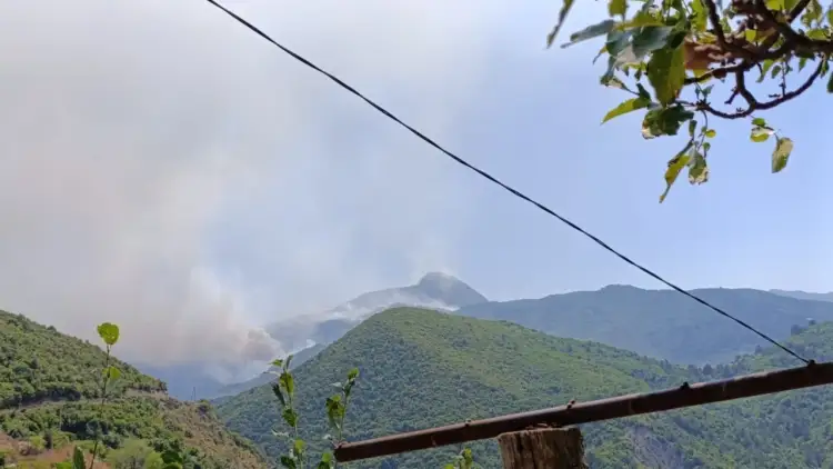 Zjarret u afrohen shtëpive, banorët e tre fshatrave në Gramsh urdhërohen të largohen