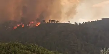 Zjarret përfshijnë fshatrat e Gramshit, evakuohen banorët, raportohet 1 viktimë