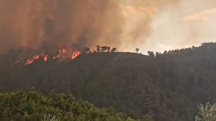 Zjarret përfshijnë fshatrat e Gramshit, evakuohen banorët, raportohet 1 viktimë