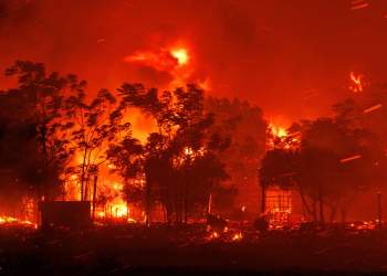 Greqia në alarm nga zjarret, kërkon sërish ndihmë nga BE