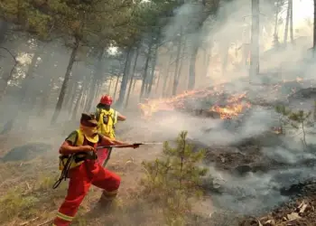 Situatë kritike me zjarret: Evakuim i menjëhershëm për Nartë, Skënderbegas dhe Delvinë