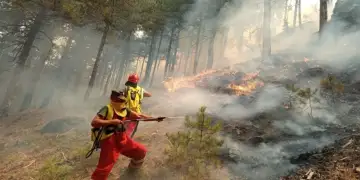 Situatë kritike me zjarret: Evakuim i menjëhershëm për Nartë, Skënderbegas dhe Delvinë