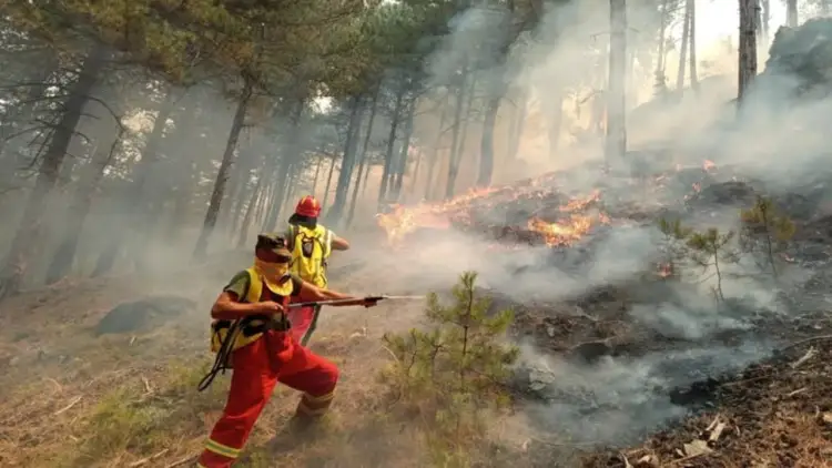 Situatë kritike me zjarret: Evakuim i menjëhershëm për Nartë, Skënderbegas dhe Delvinë