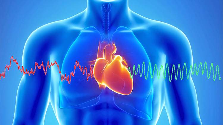 Aneurizma e aortës, “vrasësi i heshtur” që rrezikon jetën