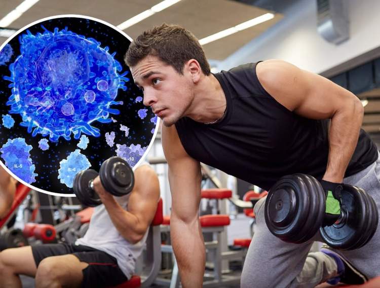 Studimi: Një stërvitje e vetme mund të ndihmojë trupin të luftojë qelizat kancerogjene