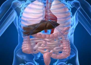 Zakonet e heshtura që dëmtojnë organet tona