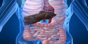 Zakonet e heshtura që dëmtojnë organet tona